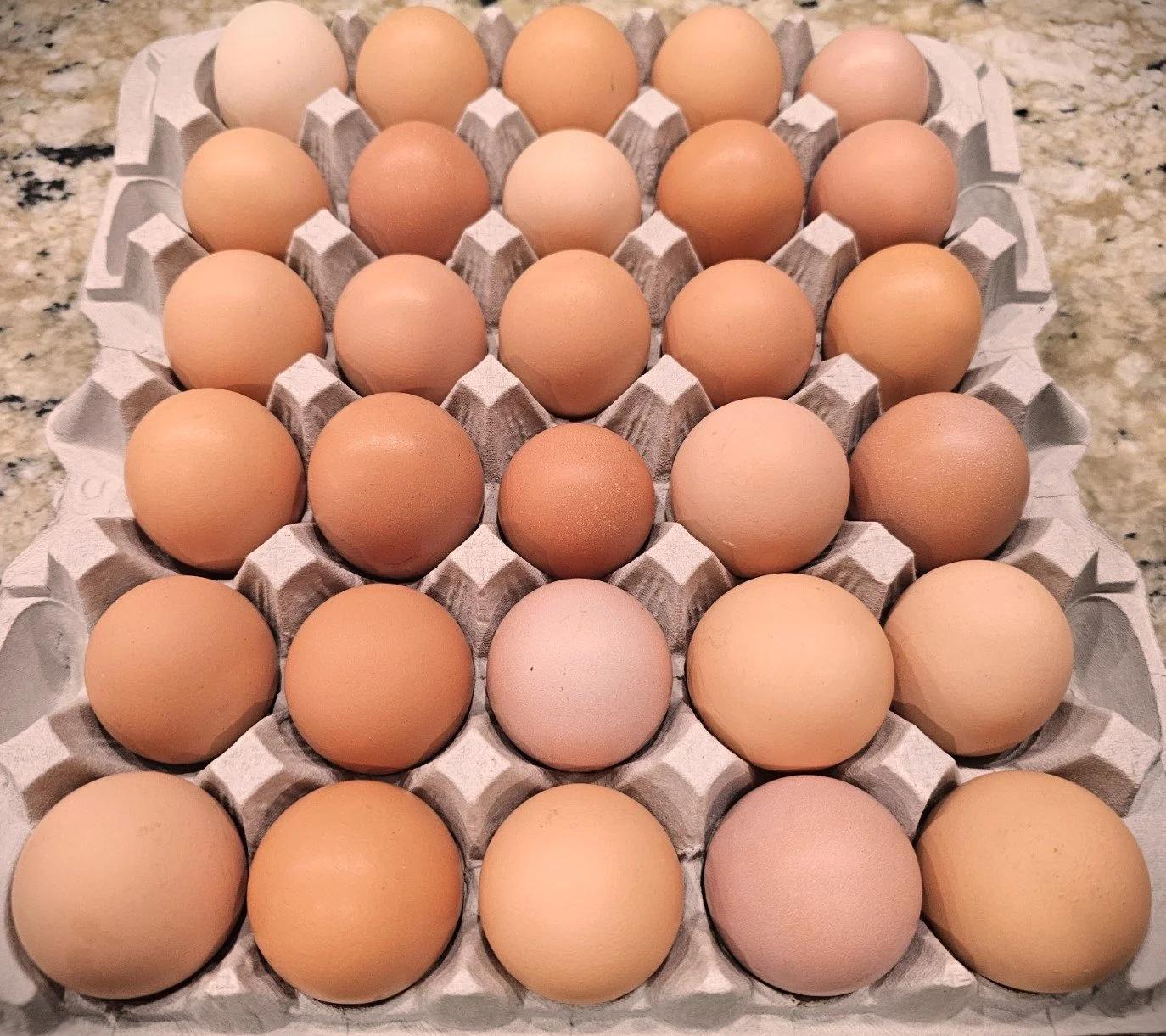 Fresh eggs in Nairobi