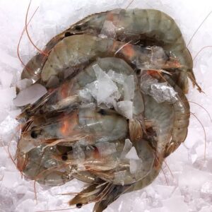 Prawns